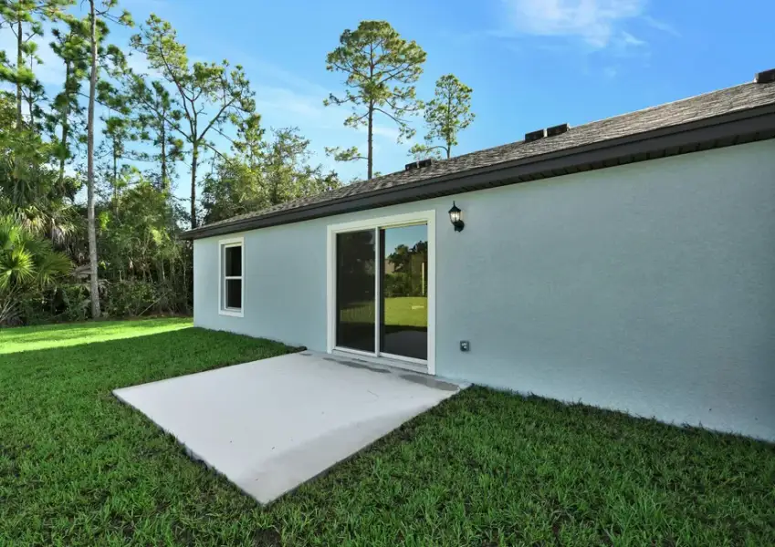 Backyard of the Banyan