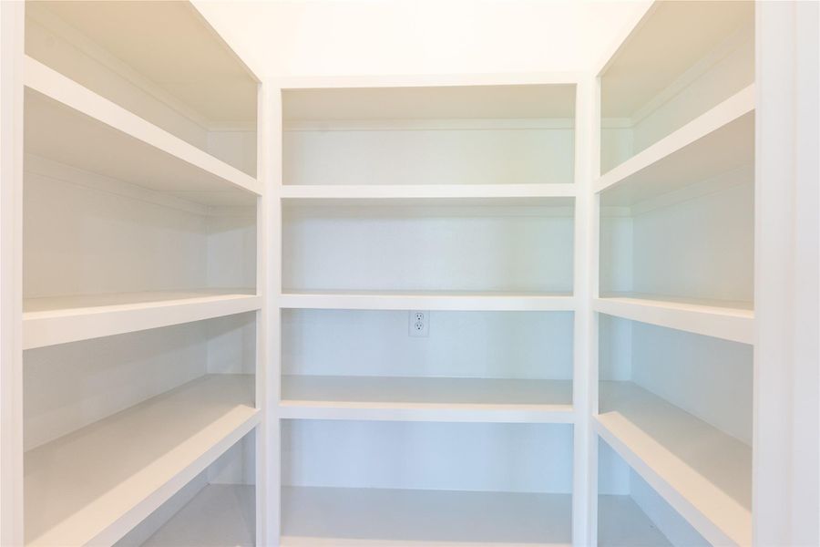 Spacious pantry for all your storage needs.