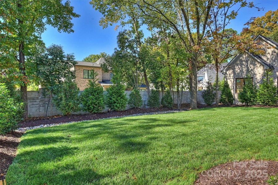 Natural landscape and outdoor views near  in Charlotte (Image 41).