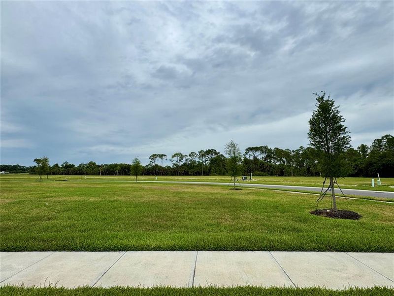 Natural landscape and outdoor views near Grand Park in Sarasota (Image 28). Natural landscape and outdoor views near Grand Park in Sarasota (Image 28).