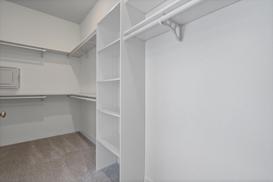 Walk in closet featuring light carpet