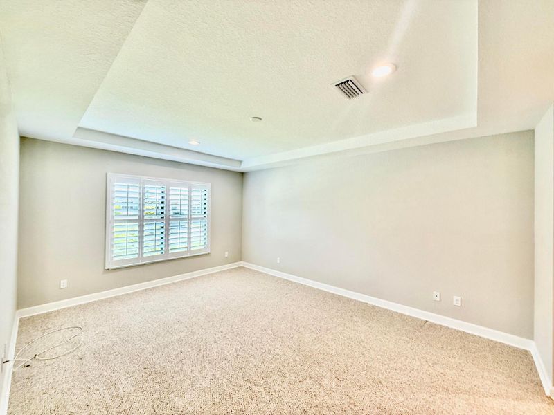 Tray Ceilings, Plantation Shutters