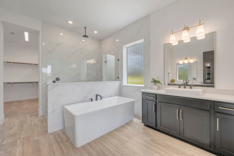 Owner's Bath