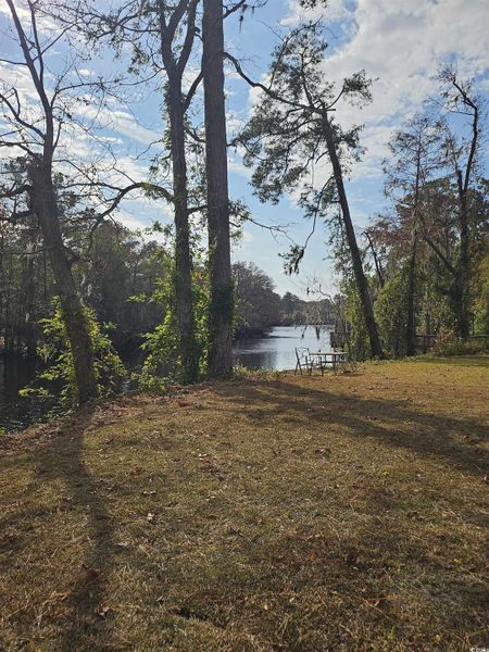 Natural landscape and outdoor views near Grissett Landing in Conway (Image 16). Natural landscape and outdoor views near Grissett Landing in Conway (Image 16).