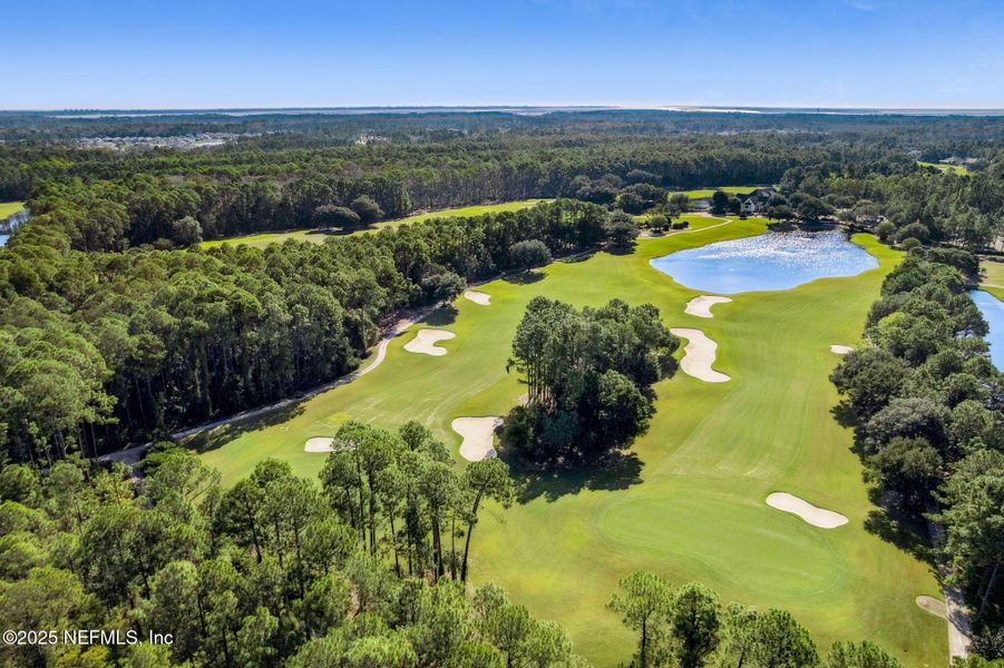 Natural landscape and outdoor views near Amelia National in Fernandina Beach (Image 32). Natural landscape and outdoor views near Amelia National in Fernandina Beach (Image 32).
