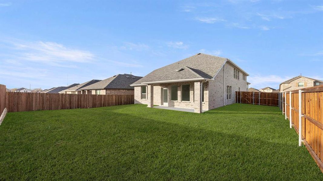 27. 758 Gentle Bird - Back (2)