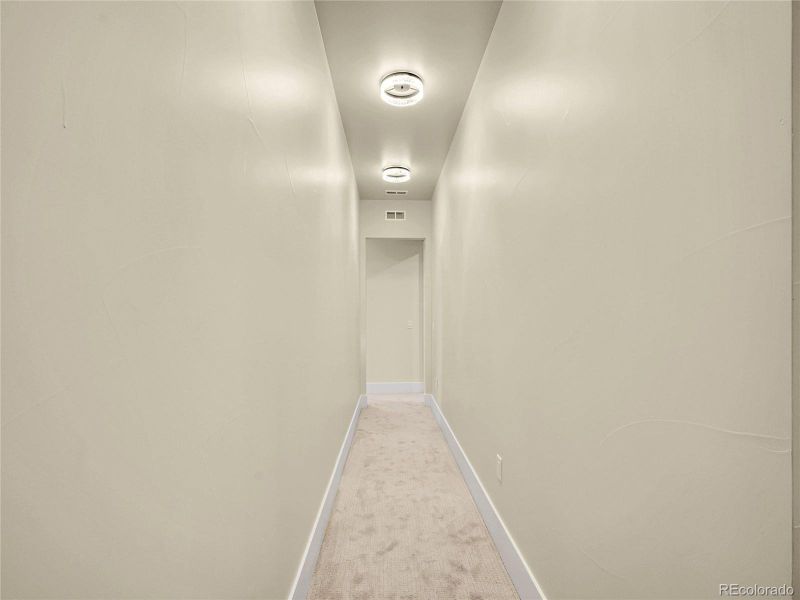 Hallway to basement bonus room.
