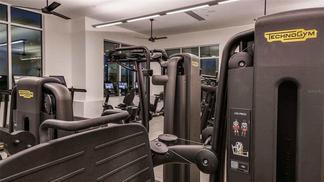 Community amenities in Esplanade at Wiregrass Ranch, Wesley Chapel (Image 54). Community amenities in Esplanade at Wiregrass Ranch, Wesley Chapel (Image 54).