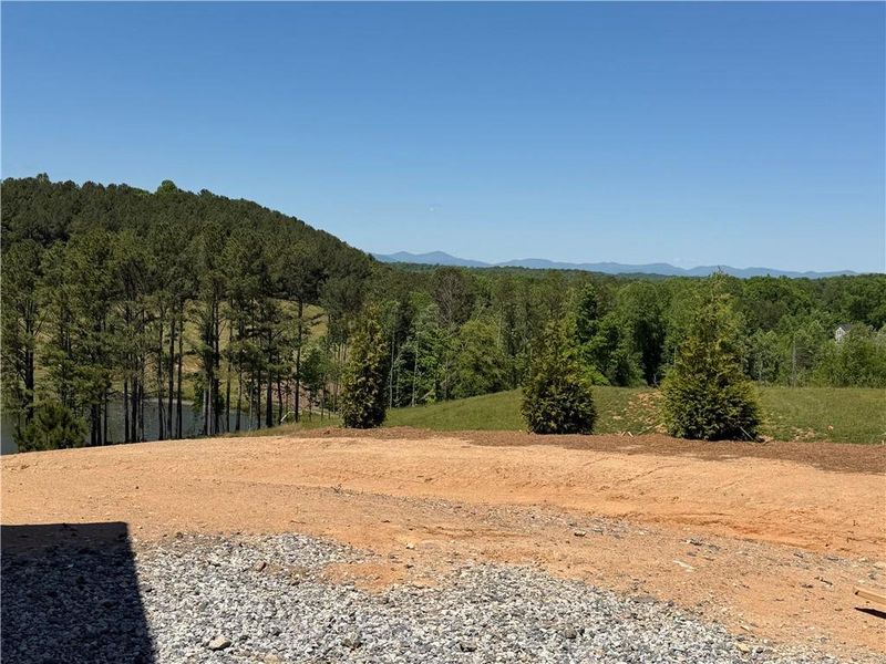 Natural landscape and outdoor views near  in Gainesville (Image 57).