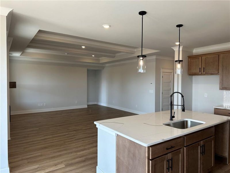 Furnished interior view inside a new home in Rosewood Lake Preserve, Hoschton (Image 9).