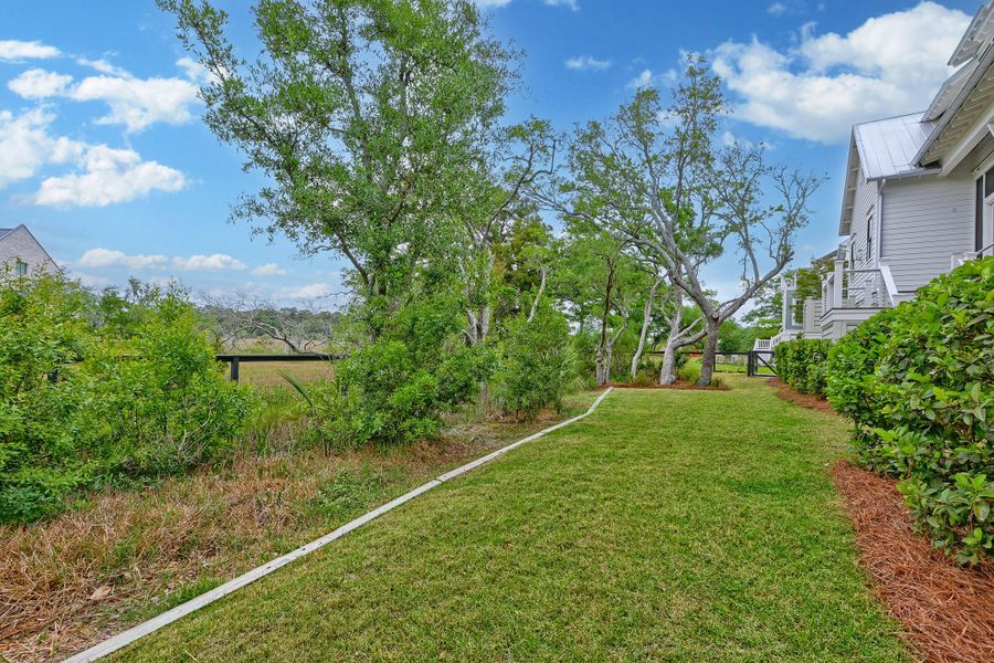 Natural landscape and outdoor views near Daniel Island Park in Charleston (Image 84).