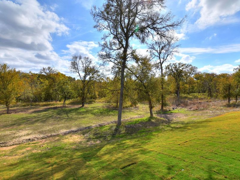 Outdoor and nature views near homes built from the Madera II by Giddens Homes in Scofield Farms Estates, Georgetown (Image 455).