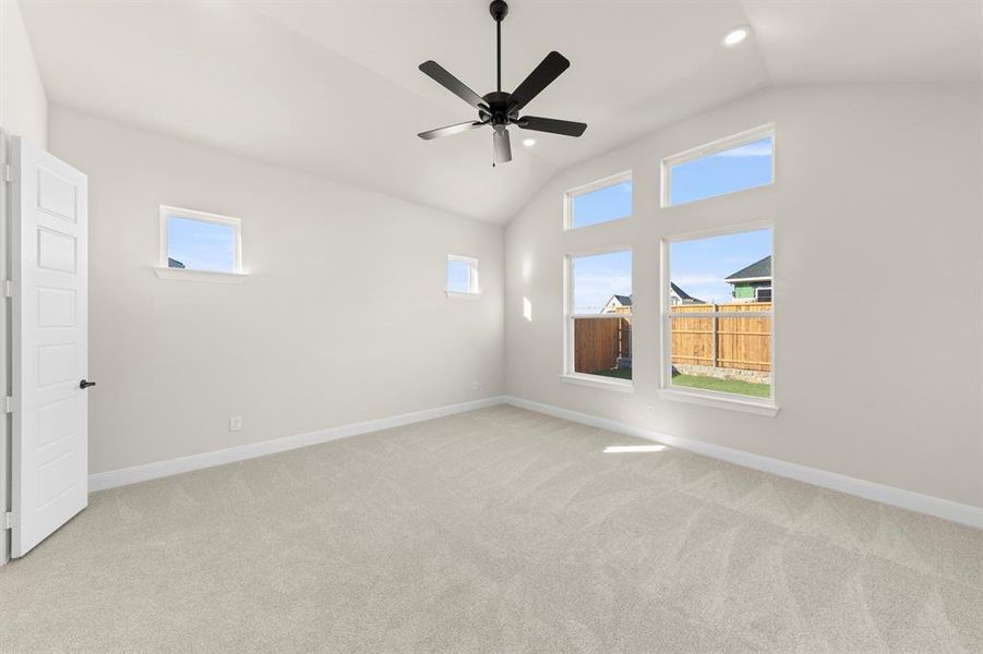 14. 637 Bunchberry - Primary