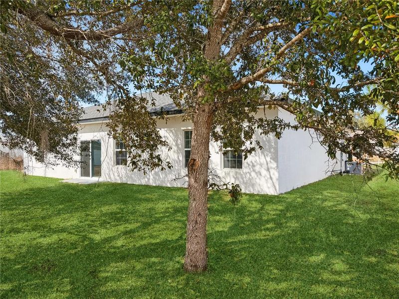 Natural landscape and outdoor views near  in Ocala (Image 33).