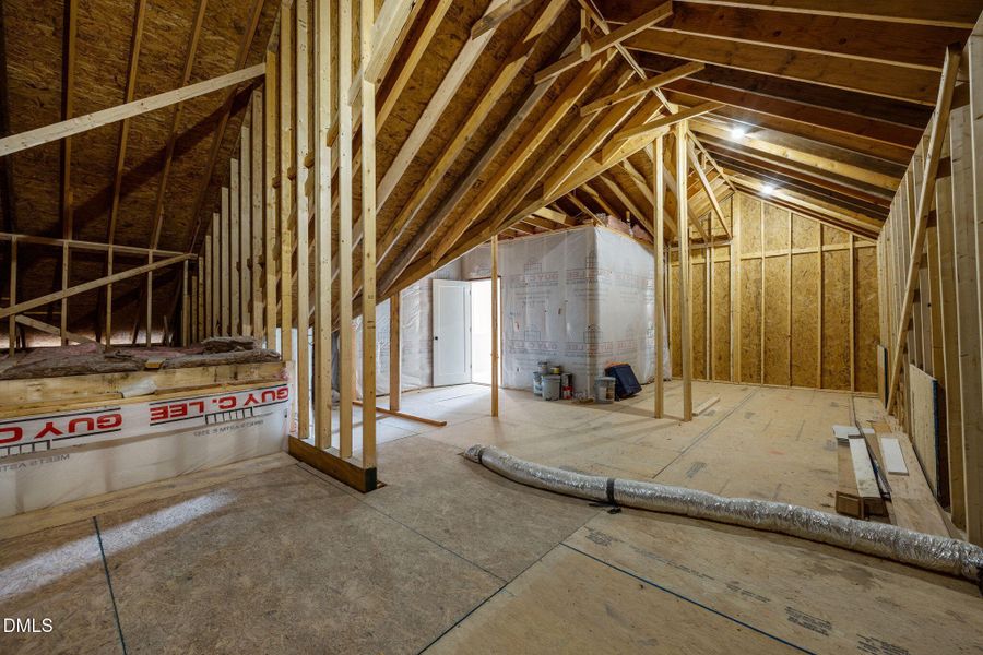 53-web-or-mls-IMG_0256