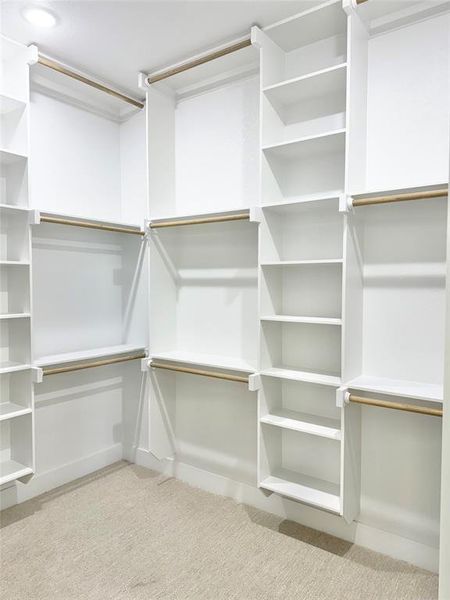 Spacious closet with carpet flooring