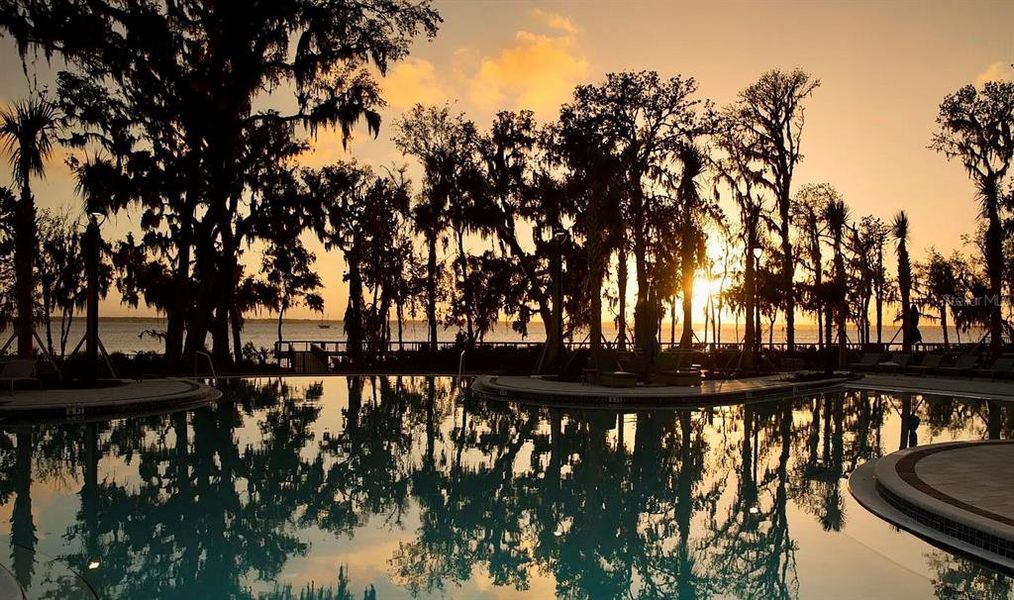 Natural landscape and outdoor views near  in St. Johns (Image 25).