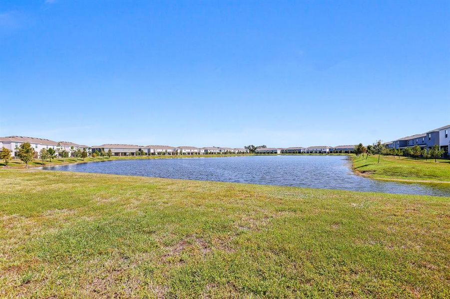 Natural landscape and outdoor views near  in Apollo Beach (Image 32).