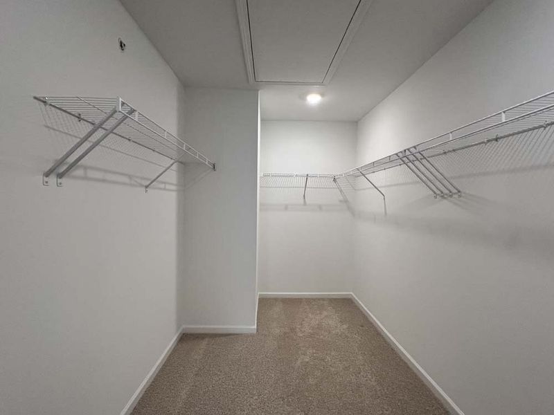 Primary Bedroom Walk-in Closet