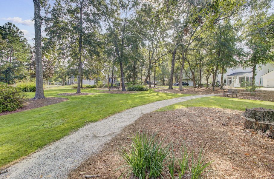 Natural landscape and outdoor views near  in Summerville (Image 35).
