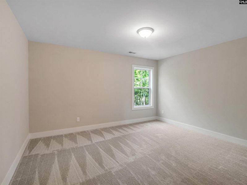 Spacious, unfurnished interior of a new home in Collins Cove, Chapin (Image 32). Spacious, unfurnished interior of a new home in Collins Cove, Chapin (Image 32).