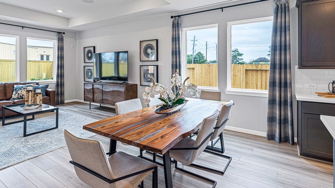 Furnished interior view inside a new home in Raburn Reserve 50s, Tomball (Image 16).