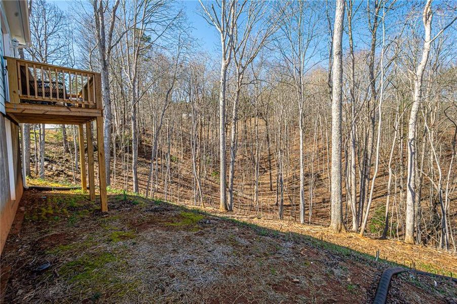 Natural landscape and outdoor views near  in Dahlonega (Image 44).