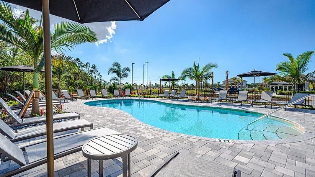 Community amenities in Tiburon, Nokomis (Image 28).