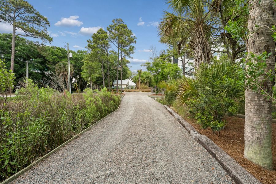 Natural landscape and outdoor views near  in Folly Beach (Image 89).