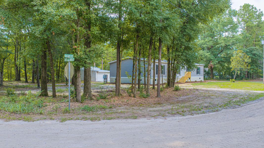Natural landscape and outdoor views near  in Walterboro (Image 72).