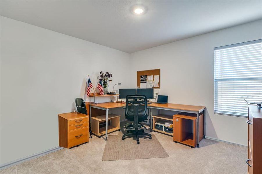 Carpeted office space featuring plenty of natural light