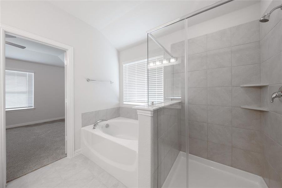 Primary Bathroom Primary Bathroom