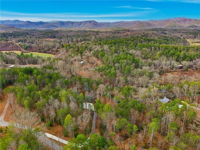 Natural landscape and outdoor views near  in Blue Ridge (Image 62).