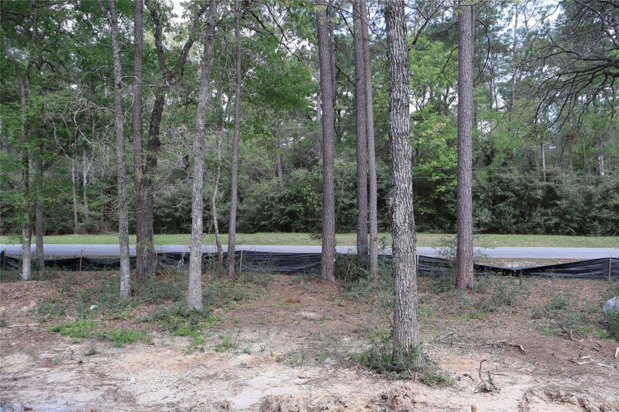 Natural landscape and outdoor views near  in Magnolia (Image 31).