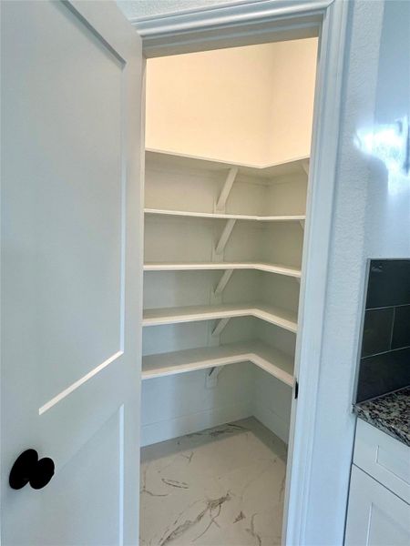 Spacious kitchen pantry.