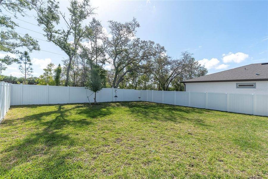 Exterior details and patio area of a home in Valleybrook, Spring Hill (Image 26).