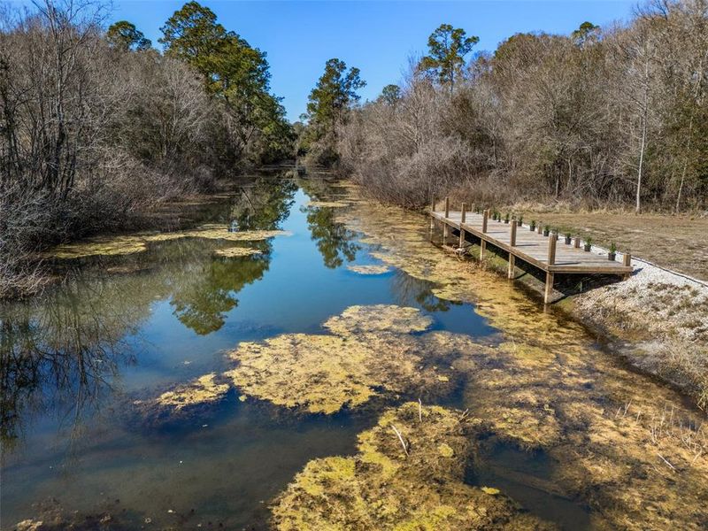 Natural landscape and outdoor views near  in Webster (Image 62).