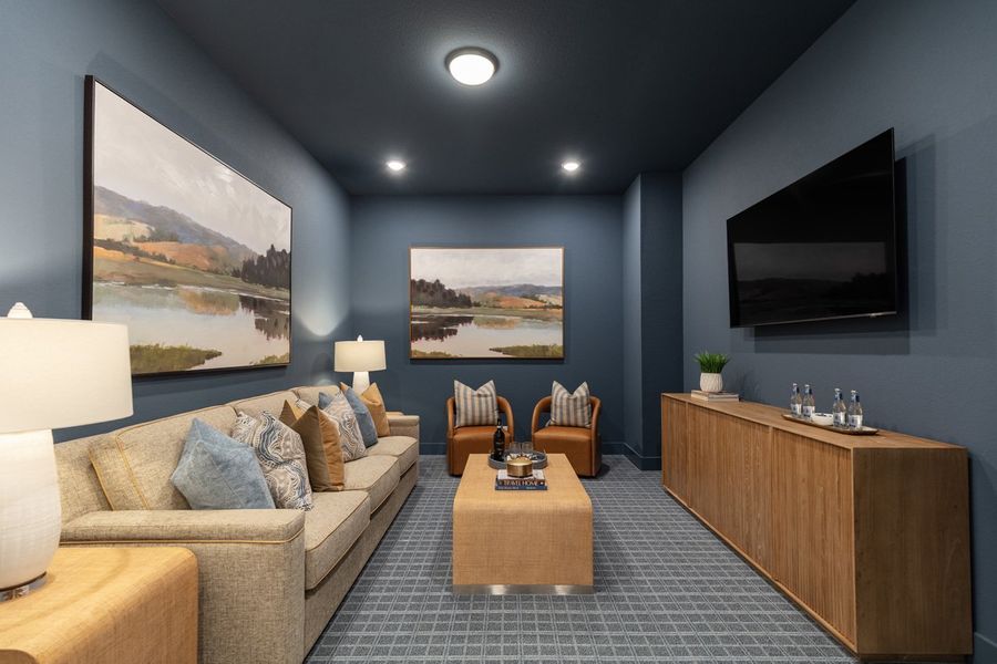 Representative Entertainment Room - some options shown Representative Entertainment Room - some options shown