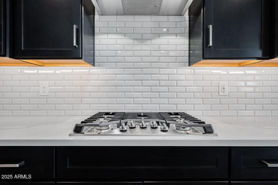 hj-az-phoenix-cantamia-portato-18147-w-t hj-az-phoenix-cantamia-portato-18147-w-t