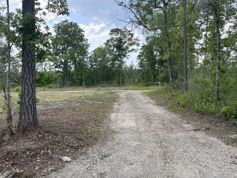 Natural landscape and outdoor views near  in Cottageville (Image 33).