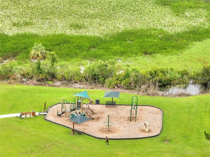 Community amenities in Hawkstone, Lithia (Image 32).