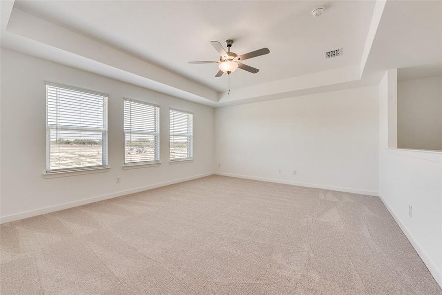 Carpeted spare room featuring a tray ceiling and ceiling fan