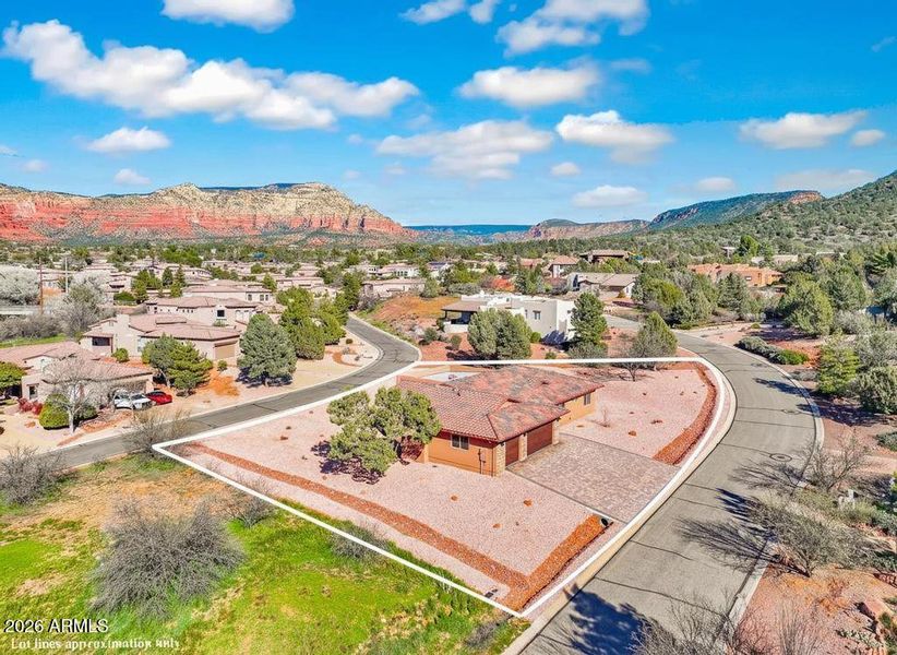 Firefly_Gemini Flash_make plants green