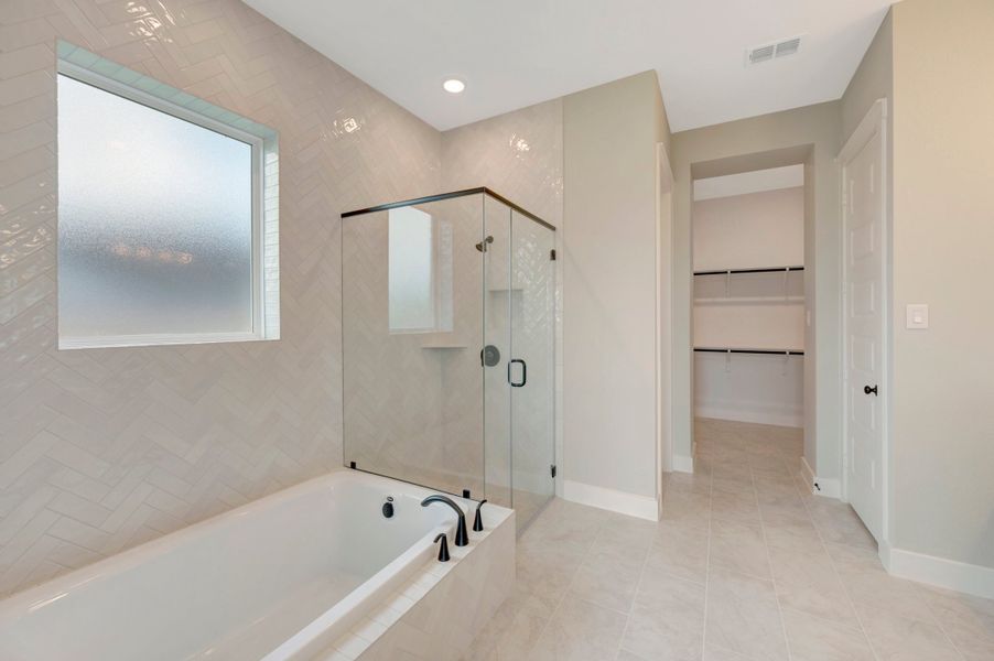 Owner's Bath