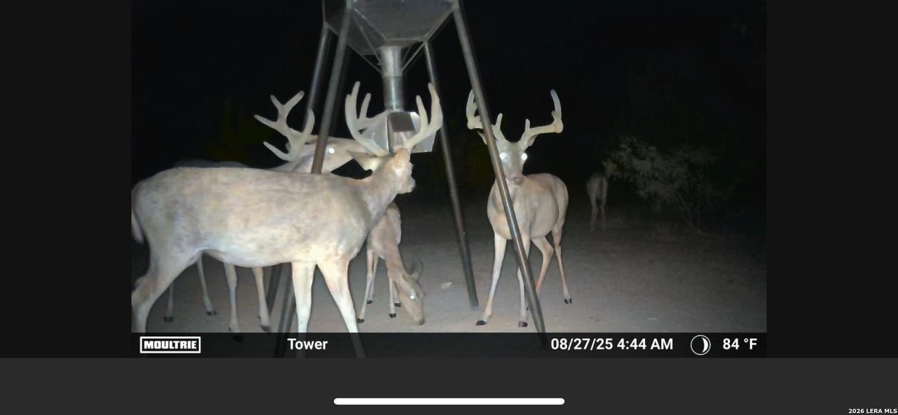 Sample of building materials used in homes in , Crystal City (Image 11). Sample of building materials used in homes in , Crystal City (Image 11).