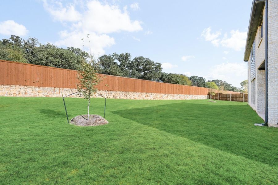 Spacious backyard with green lawn, young tree, and wood fence on stone base beside brick home