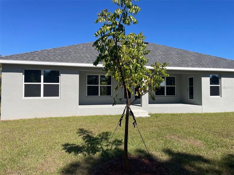 Exterior details and patio area of a home in Port Charlotte, Port Charlotte (Image 3).