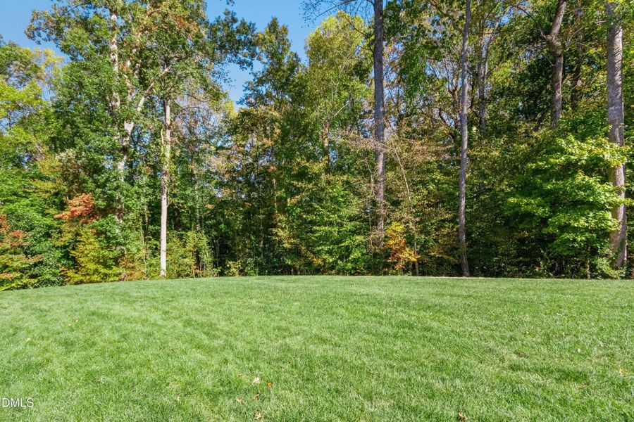 061-487784-IMG_8668 061-487784-IMG_8668