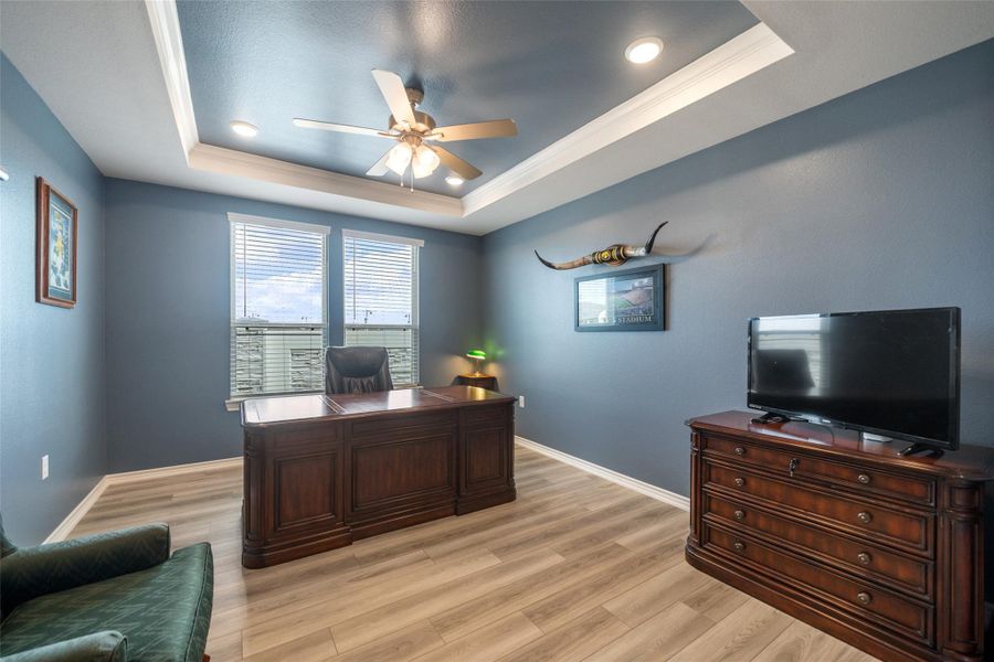 The flex room could be an office, additional media room, play room for the visiting grandkids, or exercise room - whatever you may need! It has a tray ceiling and natural light.