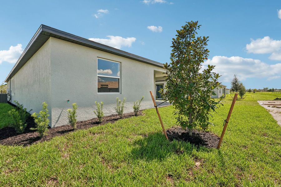 Back exterior